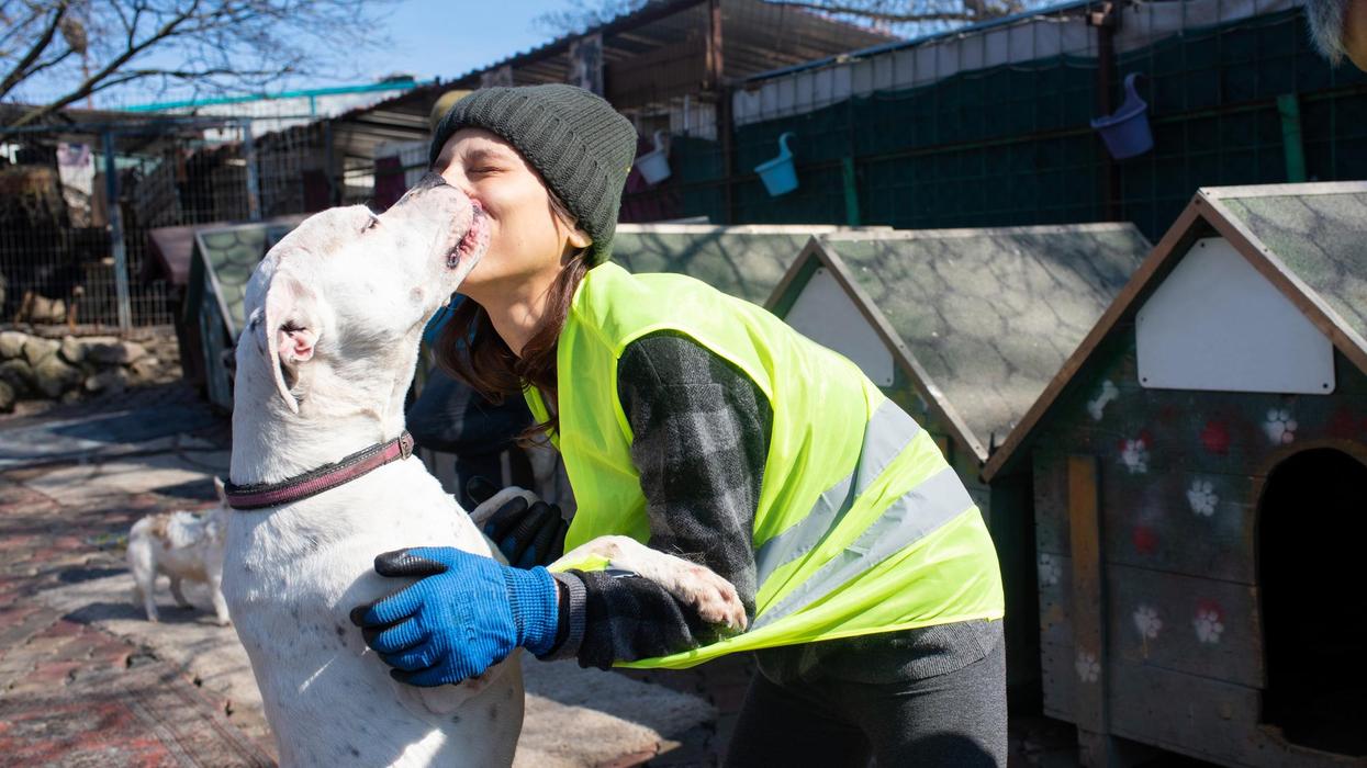 A woman at a pet shelter gets kisses from a happy dog