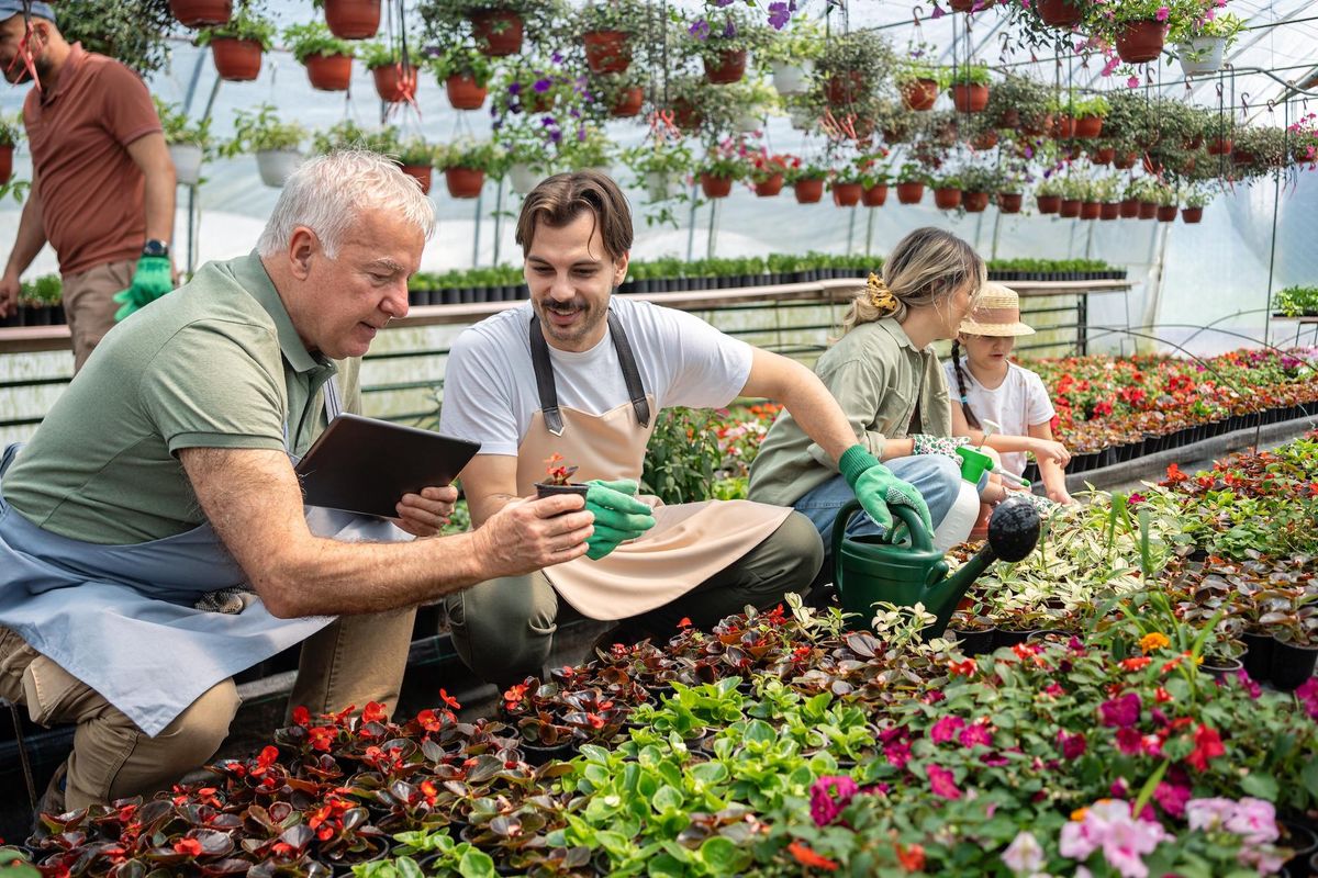 Older man and younger man working at a garden centre