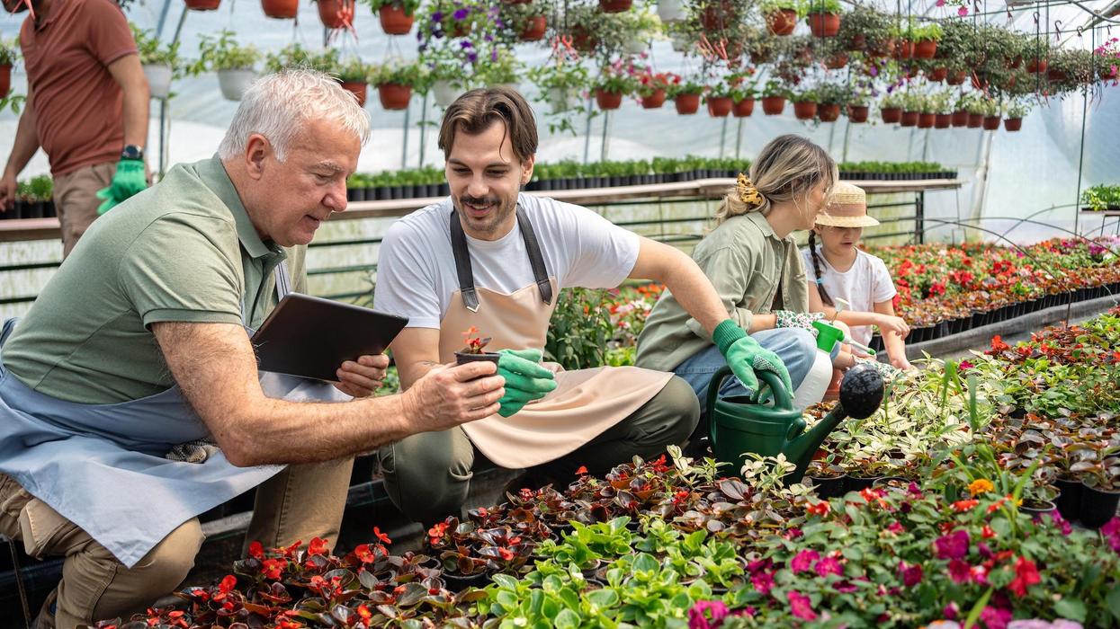 Older man and younger man working at a garden centre